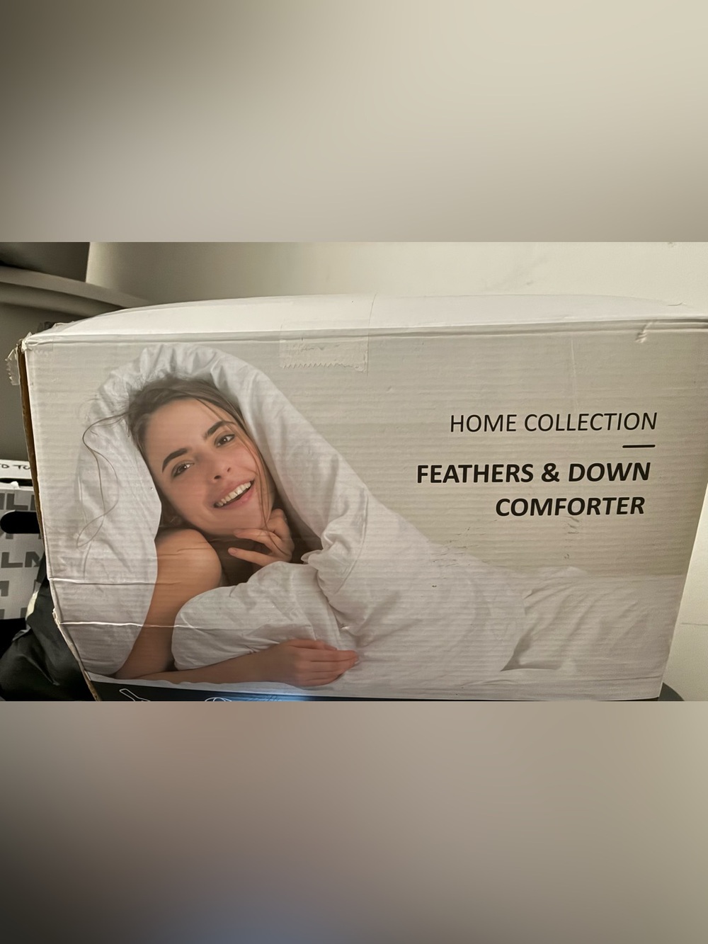 Home Collection White Feathers & Down Plush Comforter Ivory Color
